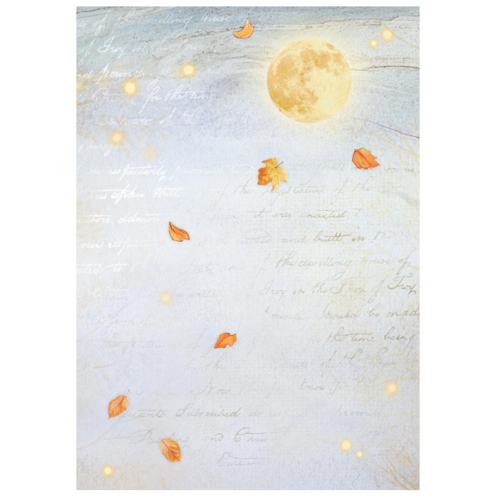 copy of 